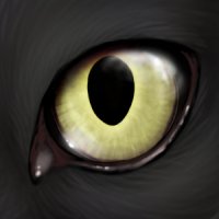 Shapeshifter eye avatar