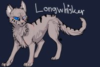 Longwhisker (Elder of AzureClan)