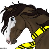 Hufflepuff Horse Avatar