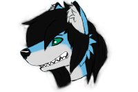 Toxic Wolf Request