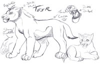 Teir-Prehistoric Cats