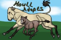 {Houll Adopts} Artist Search!