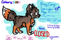 Foxy-Corgi Adoptable 1.[CLOSED]