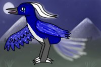 Bird of the Night