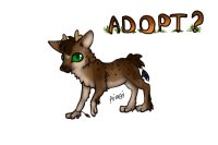 Feather Hyena Adopts - Re-Reboot