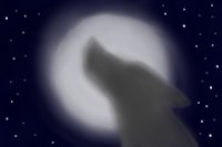 wolf's shadow in the moonlight