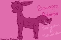 Bacapra Adopts-Now Open!