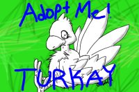Adopt a Turkay!