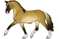 Nevada's Vixen(Vix) Buckskin Mustang Mare