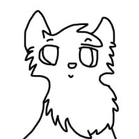 Cat avatar