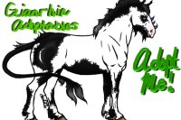 Gianrhin #86: Black Tovero Stallion