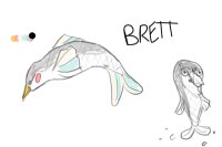 Brett The Fish