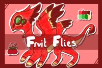 Fruit Flies - Mini Closed Species
