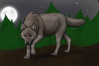 lurking wolf