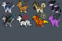 Adoptables - WIP