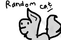 Random Cat