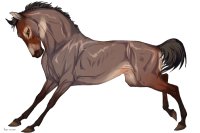 Cervinne Horses|#2