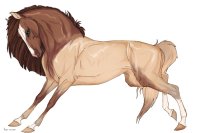 Cervinne Horses|#3