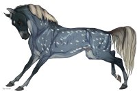 Cervinne Horses|#4