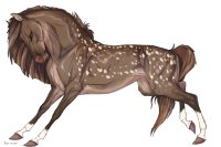 Cervinne Horses|#6
