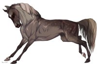 Cervinne Horses|#7
