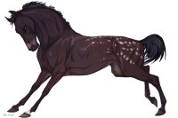 Cervinne Horses|#8