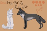 Ayiana and midnight~
