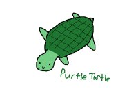 Purtle Turtle