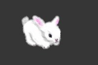 Bunny!<3