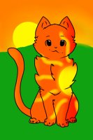 Sun-back cat coloured in!