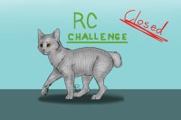 RC Challenge || WINNER ANNOUNCED