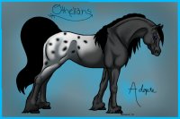 Othelians | Horse Adoptables