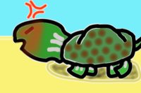 Turtle (WIP)