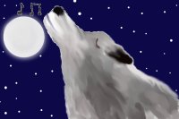 Wolf and The moon