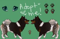 Adopt Me!- Female