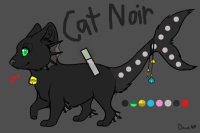 S.K. Cat Noir Style <3