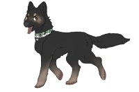 Polizeihunde Adopt #12