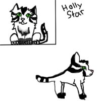 HollyStar (sode drawing bad!)
