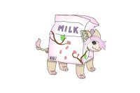 Sakura Milk