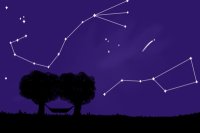 Stargazing In The Meadow