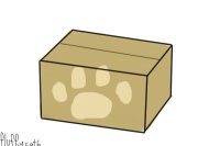 Colour a box, get a kitten!- temporarily closed