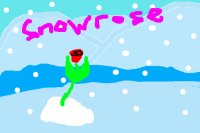 snowrose