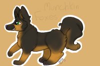 Munchkin Fox #5
