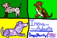 -Inova-Adopts- Dogs|Rarity|Innovation