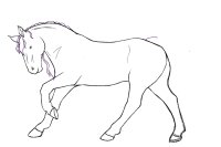 Horse entry- sketch