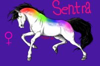 Sentra // Original