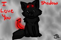Shadow wolf pup