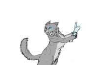Don't Touch Jayfeather's stick