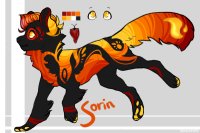 Sorin Reference