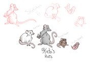 Rat Sketches/Practise and Stuff